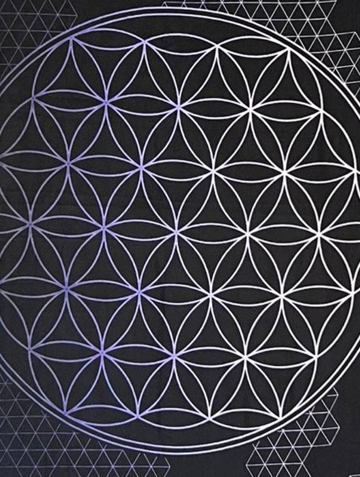 Flower Of Life Pashmina